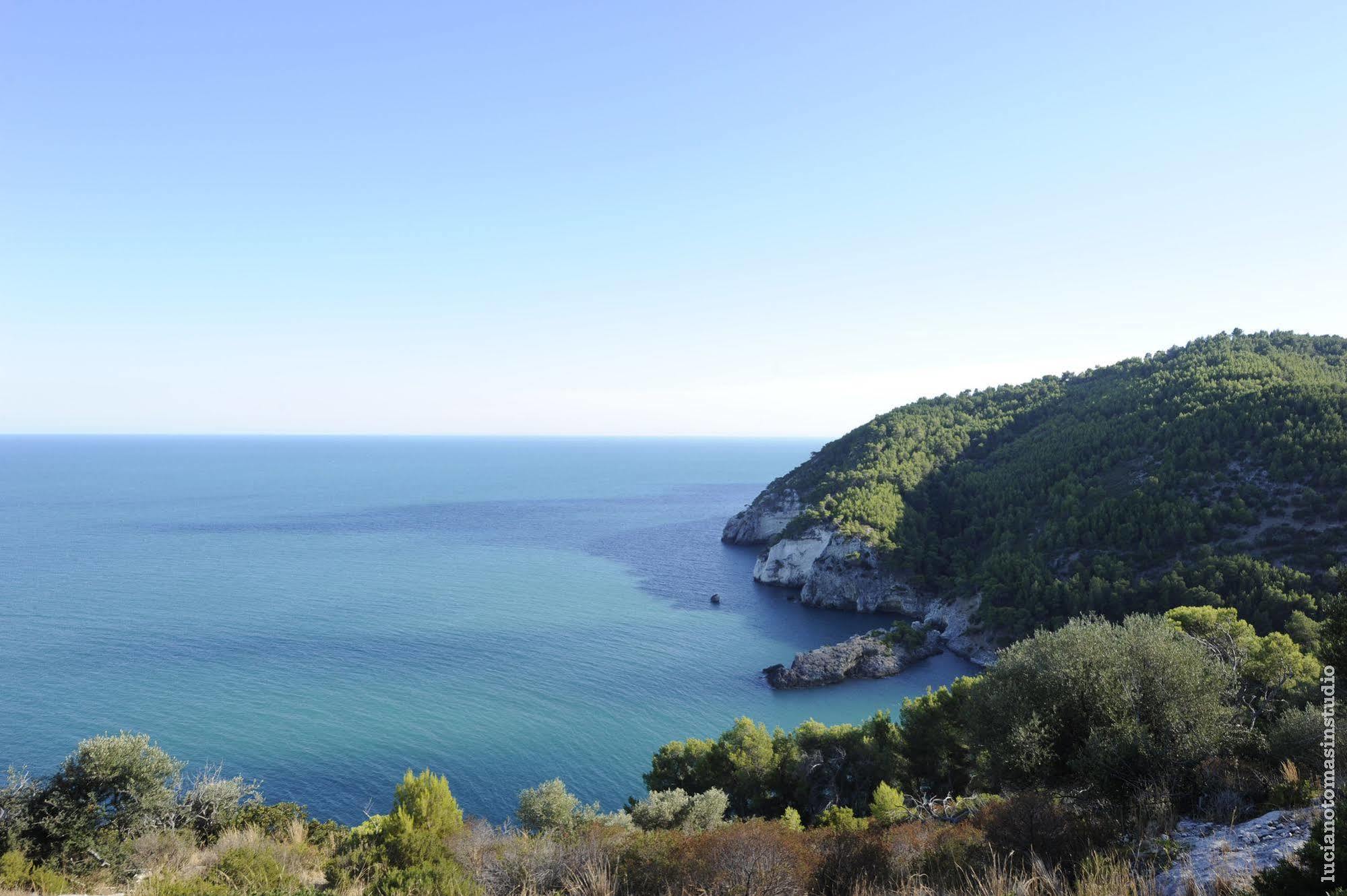 Pugnochiuso Resort - Hotel Del Faro Εξωτερικό φωτογραφία